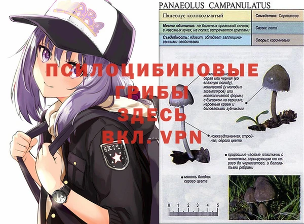 а пвп мука Алзамай