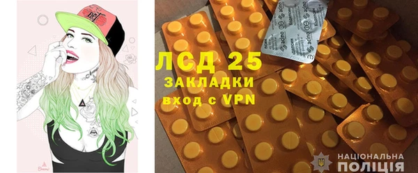 индика Алексеевка